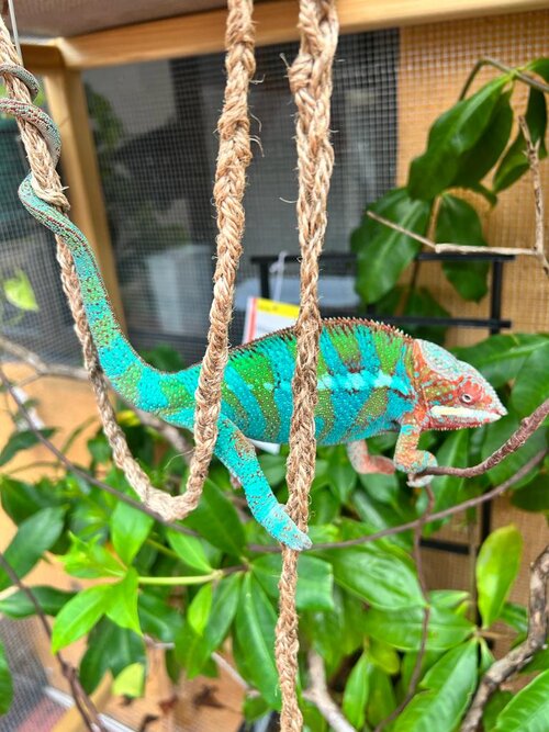 WhatsApp Image 2022-06-02 at 9.03.31 PM (5).jpeg