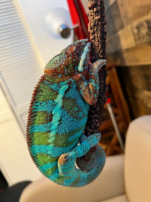 WhatsApp Image 2022-06-02 at 9.04.01 PM.jpeg