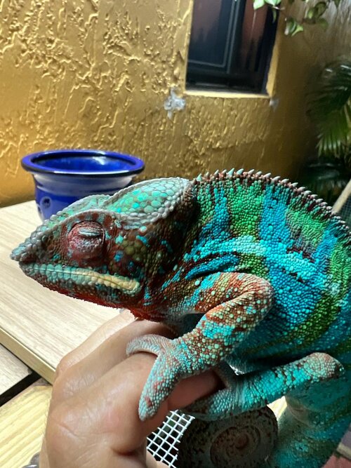 WhatsApp Image 2022-06-02 at 9.03.31 PM (4).jpeg