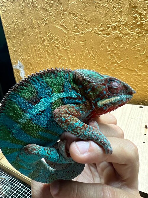 WhatsApp Image 2022-06-02 at 9.03.31 PM (3).jpeg