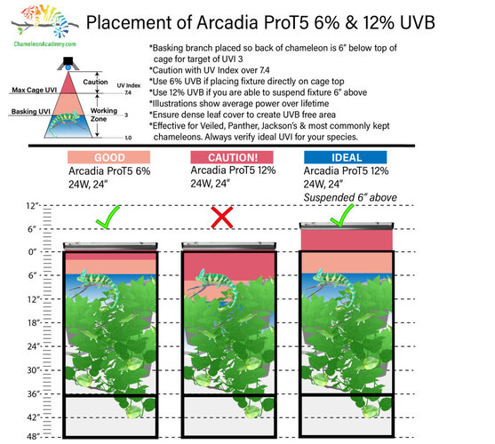 UVB-2x2x4-UVB-Guide-1024x920.jpg