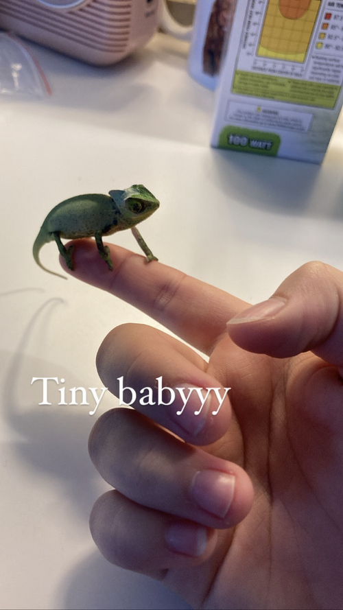 42DBB871-2DE2-4D17-801D-758C3068D415.png