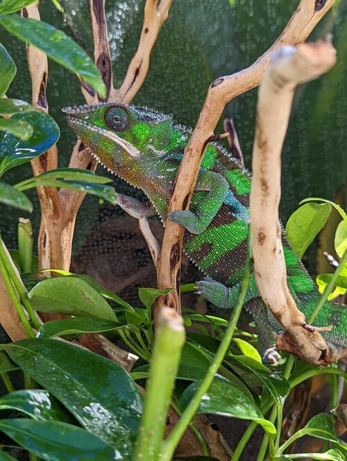 PXL_20220807_171327616 (1).jpg