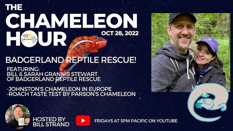 Reptile Rescues