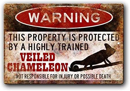 Chameleon Warning.jpg