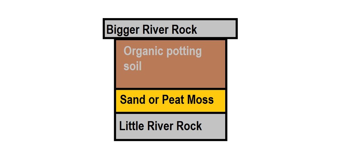 potting setup.jpg