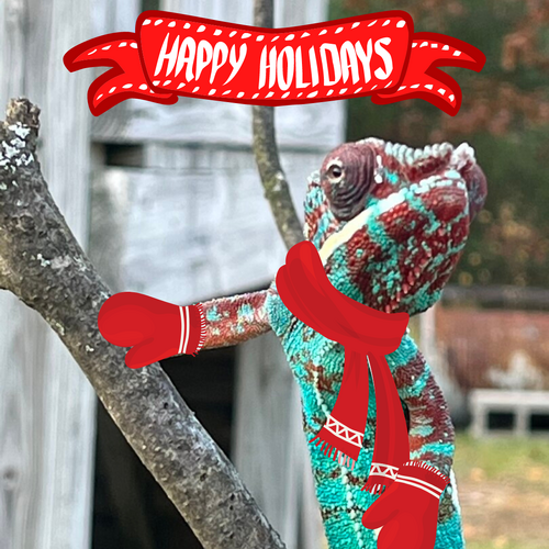 holiday cheer Grannyk.png