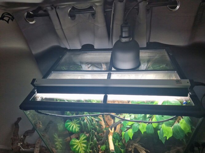 20230110_170141 (3).jpg