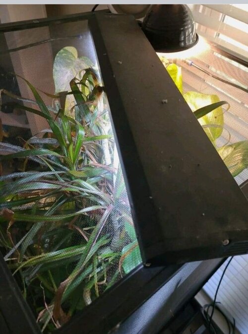 Screenshot_20230110_131336.jpg