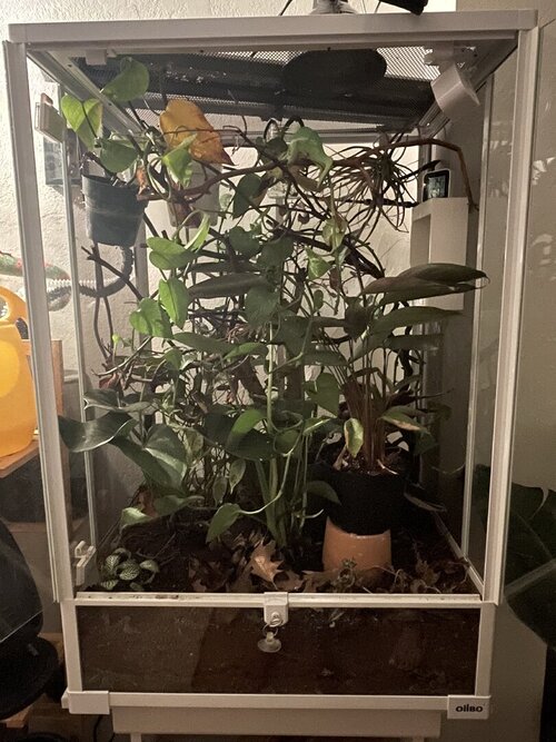 bebop enclosure.jpg