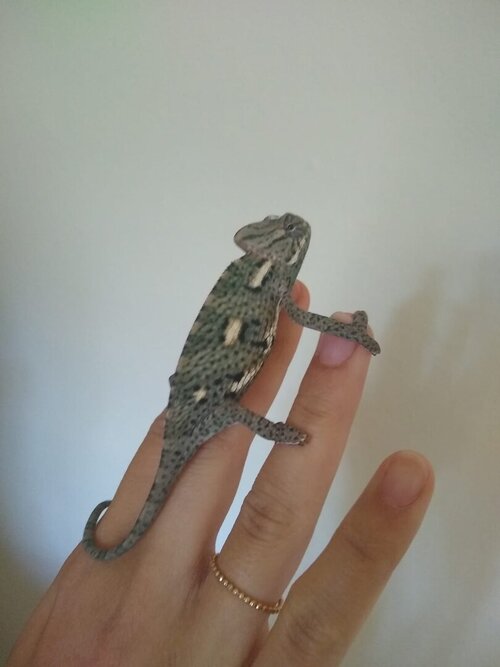 First few days with us.jpeg