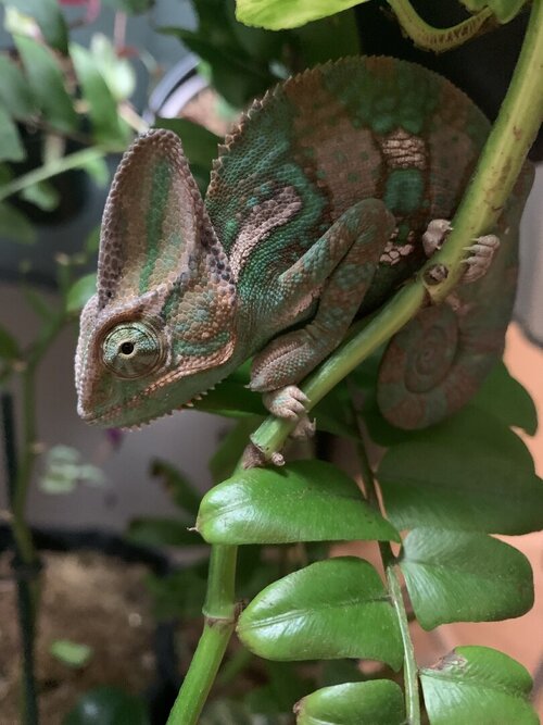 Older pic when was doing well.jpg