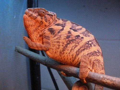 PA160252 [1600x1200].jpg