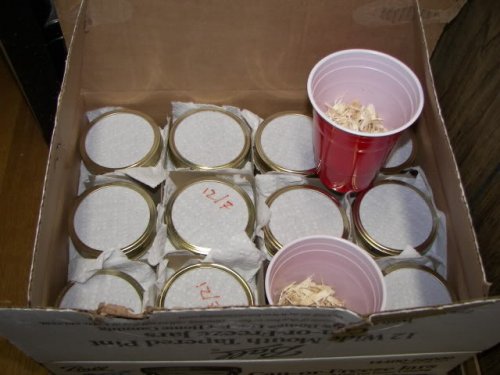 can use large plast cups.jpg