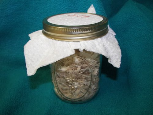 jar sealed with papertowel.jpg
