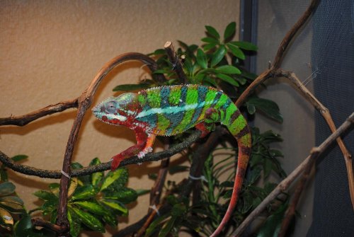 DSC_1094.jpg