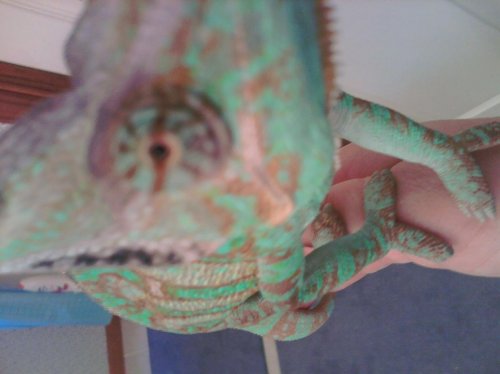 mms_picture (10).jpg