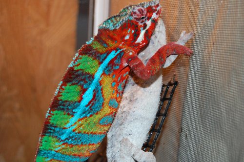 DSC_0357.jpg