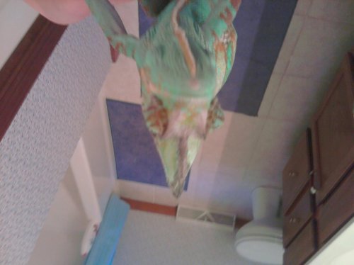 mms_picture (4) - Copy.jpg