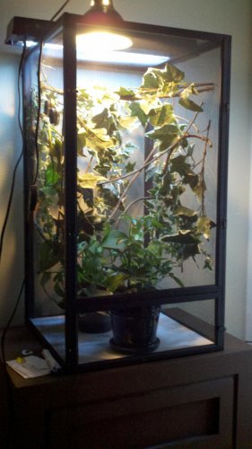 2011-10-24_15-59-04_595.jpg