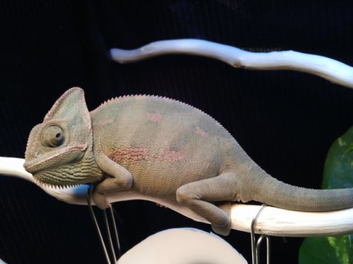 2011-10-26 18.50.35.jpg