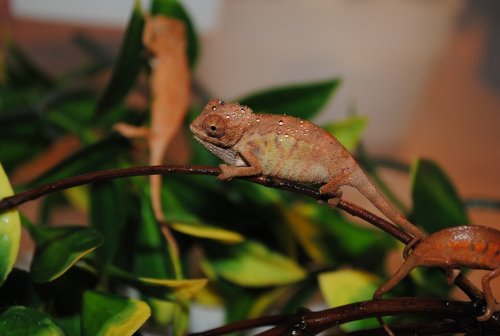 DSC_0025.JPG