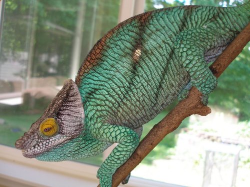 P1010130 [1280x768].JPG