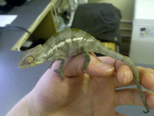 Surrey Heath-20111030-00453.jpg