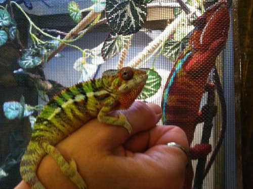 NEW IPHONE PICS OCT 122.jpg