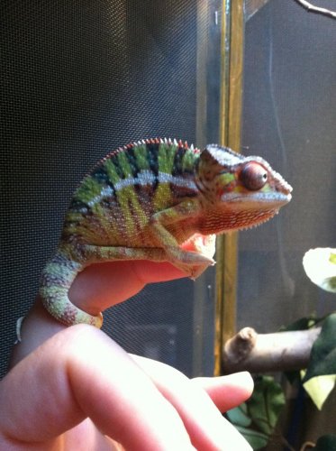 NEW IPHONE PICS OCT 077.jpg