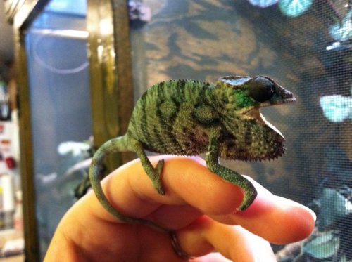 NEW IPHONE PICS OCT 110.jpg