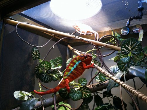 NEW IPHONE PICS OCT 165.jpg