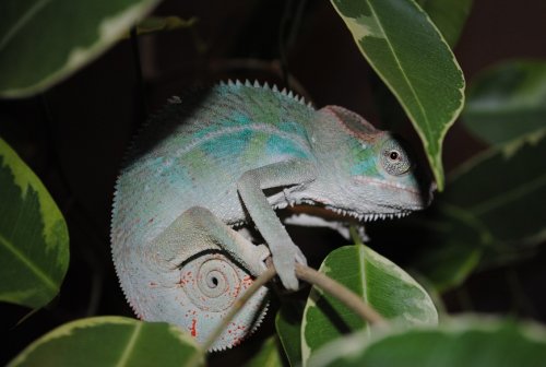 DSC_0111.JPG