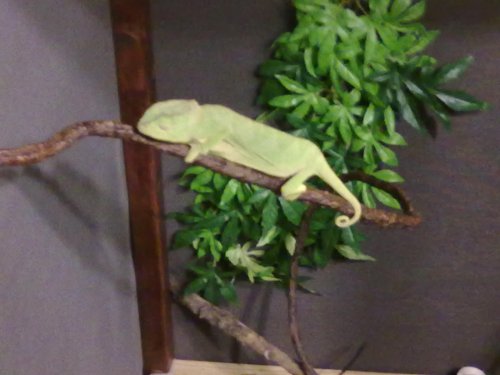 11072010029.jpg