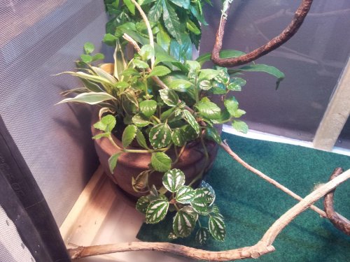 2011-11-13 11.56.31.jpg