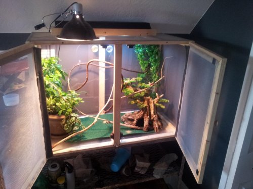 2011-11-13 11.57.13.jpg