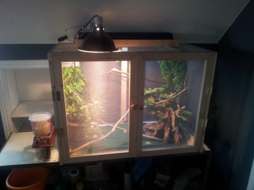 2011-11-13 11.46.37.jpg