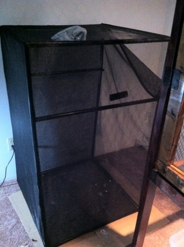 Before.jpg