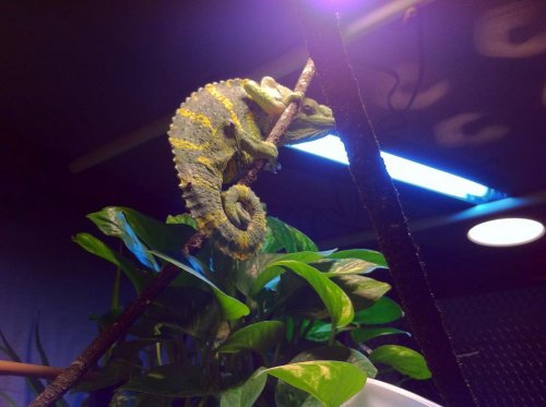 THIS IS MIIIIIIIIIIIIIIIIIIINE.jpg