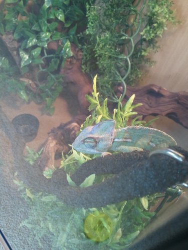 2011-11-15 10.33.38.jpg