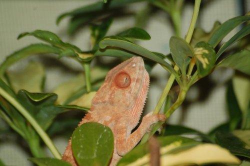 DSC_0047.jpg