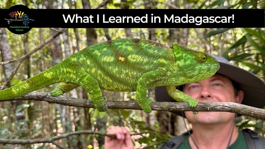 What I Learned in Madagascar