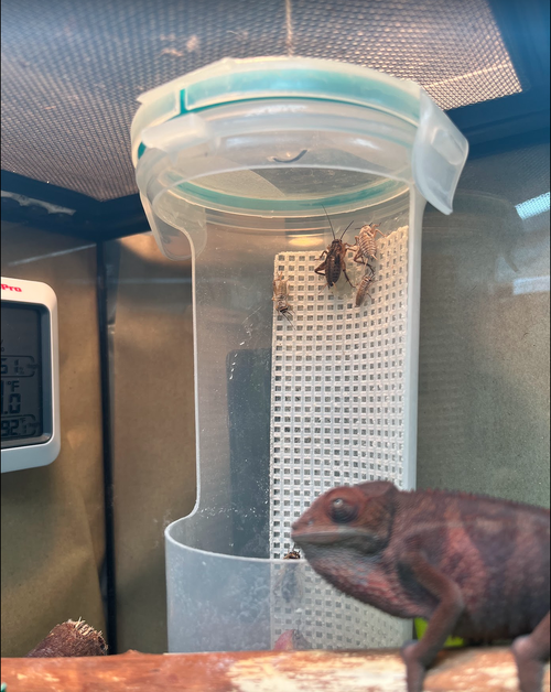 Screenshot 2023-02-10 130810.png