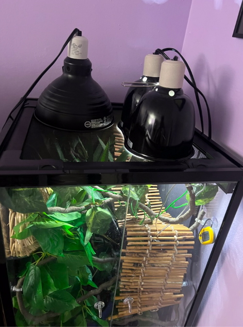 Screen Shot 2023-02-16 at 6.50.27 PM.png