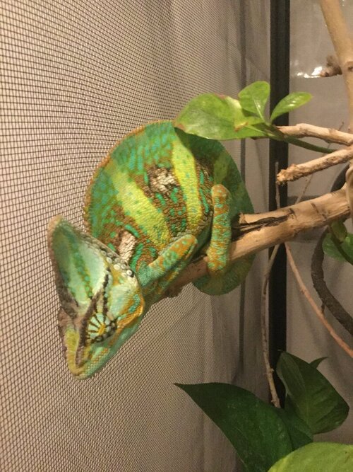 E7284574-6936-4ABC-8FFD-F853CA56F5F9 (1) (1).jpeg