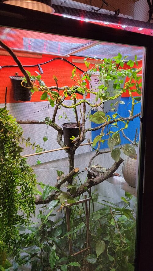 20230313_150235 (1).jpg