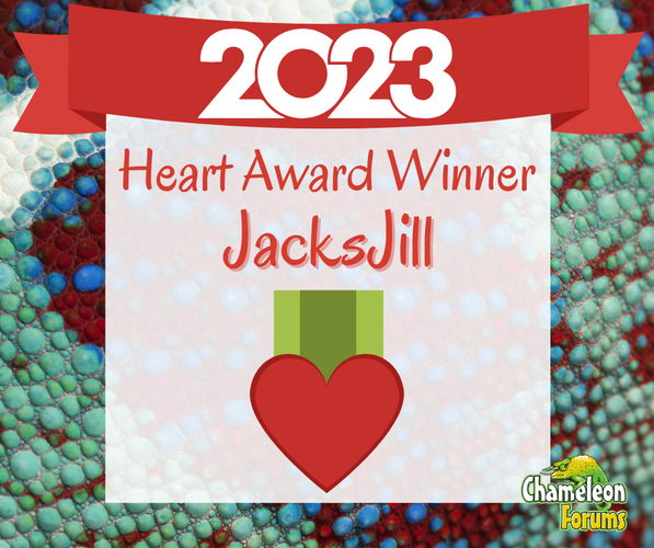 2023 Heart Award.png