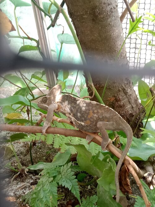 IMG_20230423_130438 (1).jpg