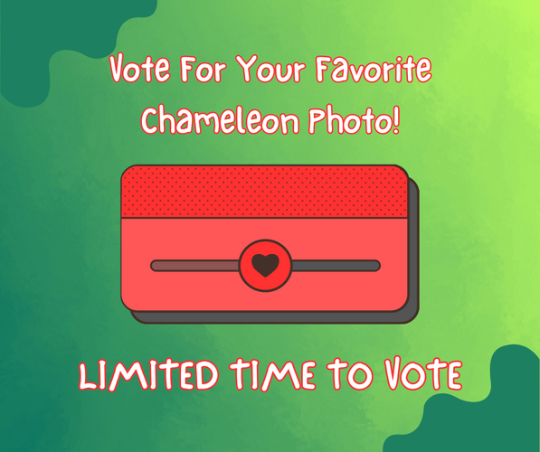 VOte for Your Favorite Chameleon.png