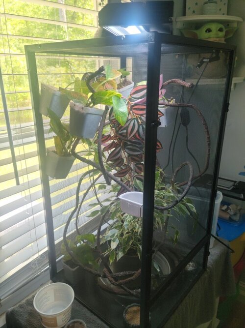 20230514_123615 (Medium).jpg